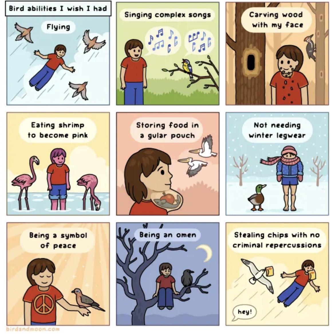Bird Abilities I Wish I Had