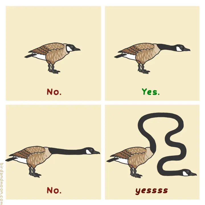 Goose Meme